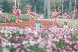 BIB: 
                            <button type="button" onclick="openModal(27343994)" class="btn btn-primary btn-sm float-right btn-popup" data-toggle="modal" data-target=".modal-high-quality">
                        <i class="fas fa-shopping-cart"></i> Add to Cart
                    </button>
                                            <button type="button" onclick="isThisMe(27343994, true)" class="btn btn-success btn-sm float-right btn-popup btn-isme hidden" data-toggle="tooltip" data-placement="bottom" title="นี่คือรูปของคุณใช่ไหม คลิกที่นี่เพื่อเอาเข้าอัลบั้ม">
                        <i class="fas fa-plus"></i> Add to album
                    </button>
                    <button type="button" onclick="isThisMe(27343994, false)" class="btn btn-warning btn-sm float-right btn-popup btn-isnotme hidden">
                        <i class="fas fa-ban"></i> Remove from album
                    </button>